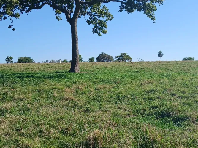 Chacaras A venda em itaberai tratar com.proprietario 62 9 *