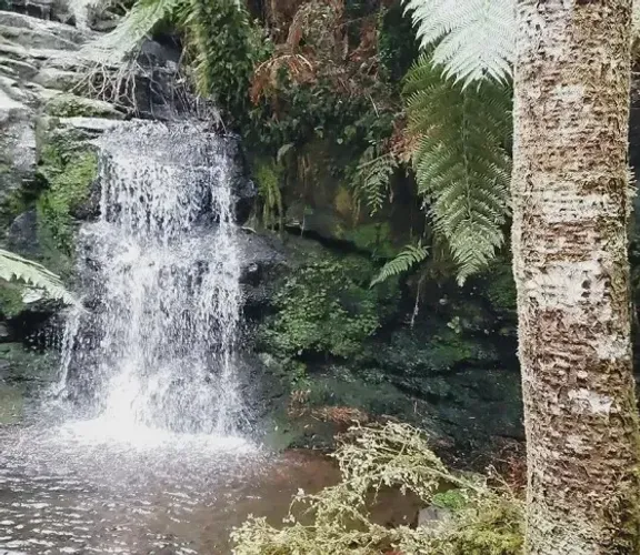 Área Rural, para venda. Vacas Gordas, Urubici (SC)