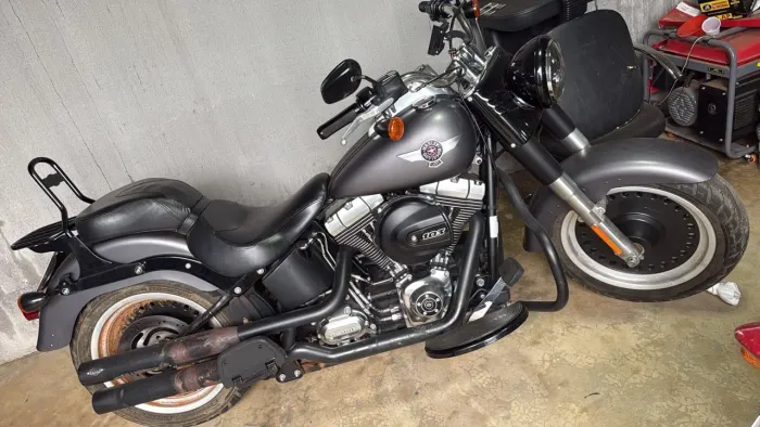 Harley Fat
