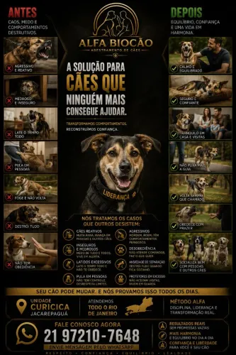 ? Adestramento de Cães no Rio de Janeiro | Internato Especializado | Alfa Biocão