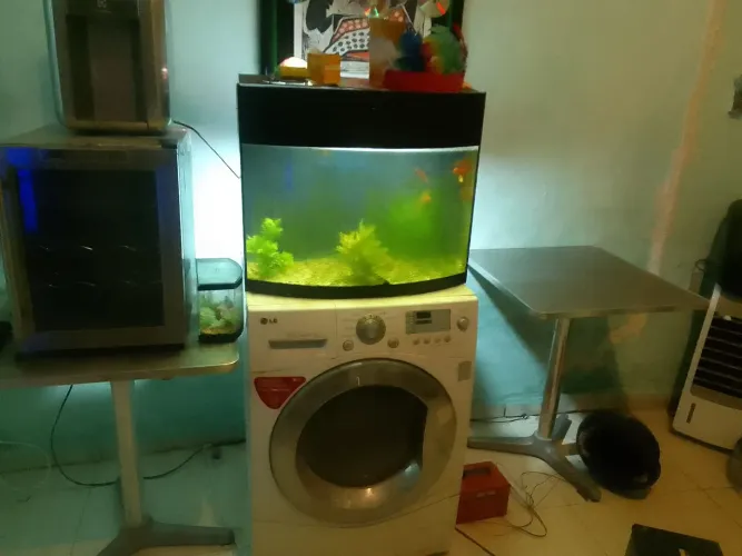 Vendo aquário
