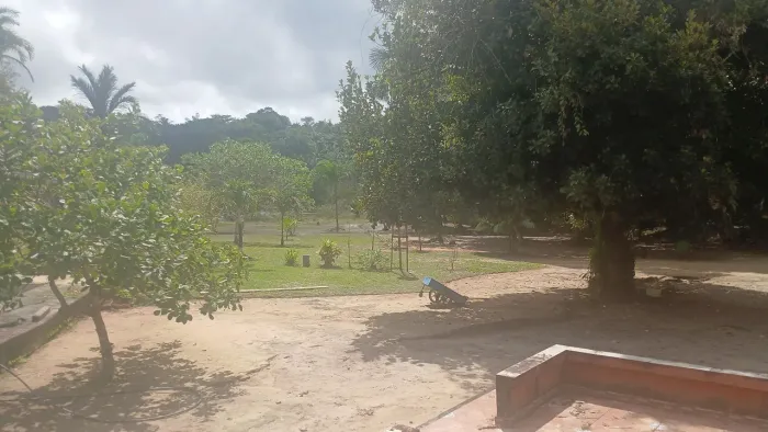 Trabalho rural