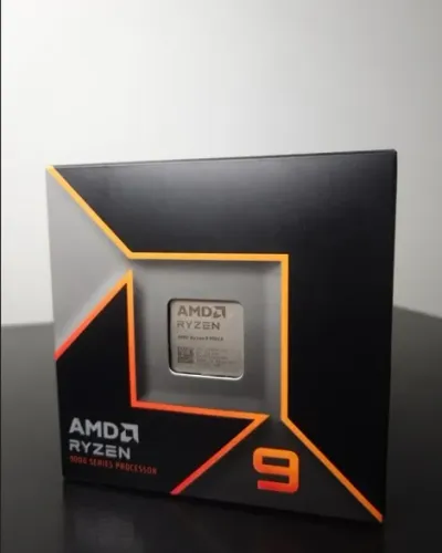 Processador AMD Ryzen 9 9900X