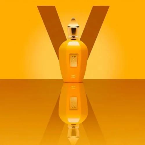 Erba Gold Xerjoff Eau de Parfum - Perfume Compartilhável 100ml