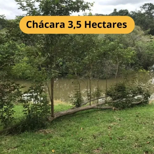 Invista no Campo: Chácara à Venda em Porto Velho/RO  3,5 Hectares