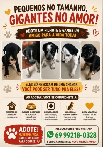 Filhote adoção 