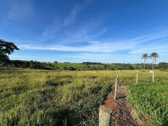 chácara próximo a Goiania, 20.000 m2, saida para santo Antônio