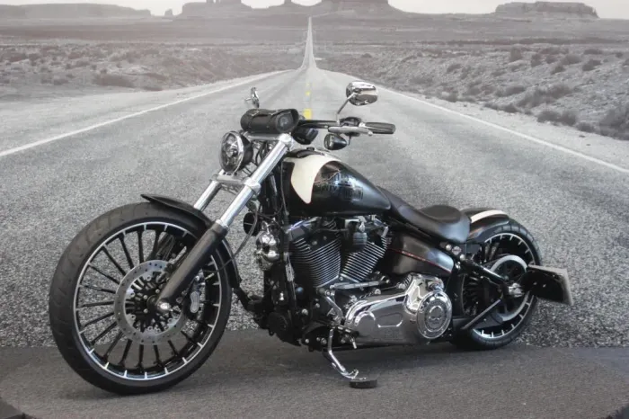 HARLEY-DAVIDSON SOFTAIL BREAKOUT FXSB 2015