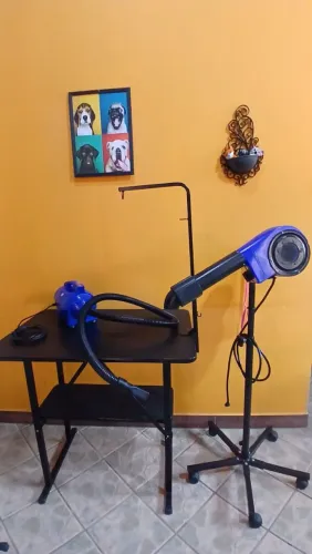 Vendo Petshop Completa para retirar do Local