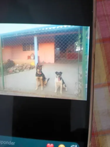 Vendo ou troco por casa ou terreno