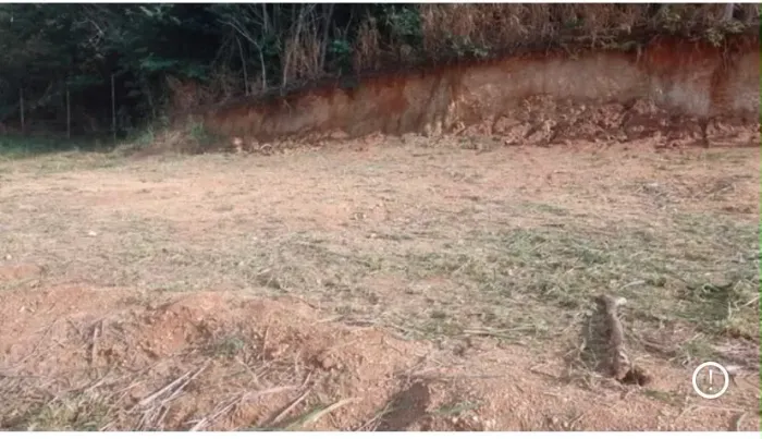 Terreno 