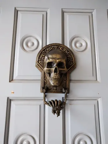 Aldrava skull