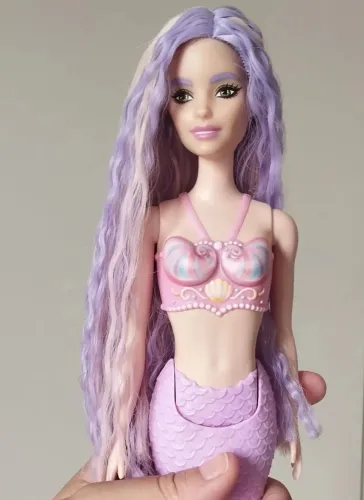 Somente cabeça de Barbie extra