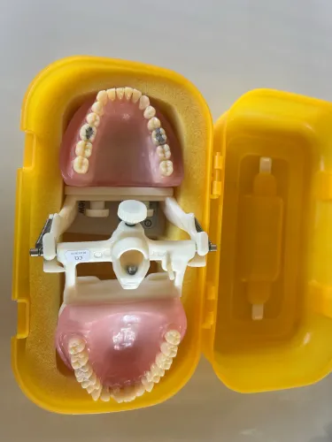 2 Manequim odontologia Pronew (usado)