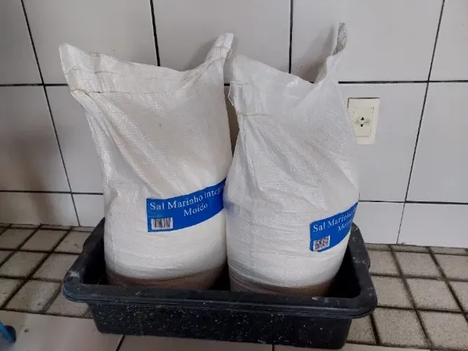 Sal Marinho Integral Moído 2 x 25Kg = 50Kg