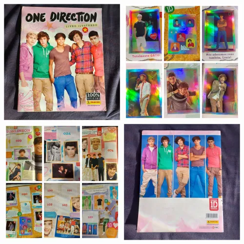 Livro ilustrado One Direction 100% Oficial Panini