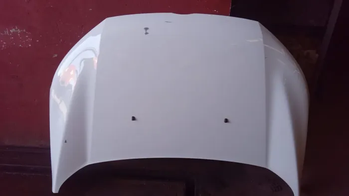 Capô Ford Ecosport Nova 2013 A 2017 Original 
