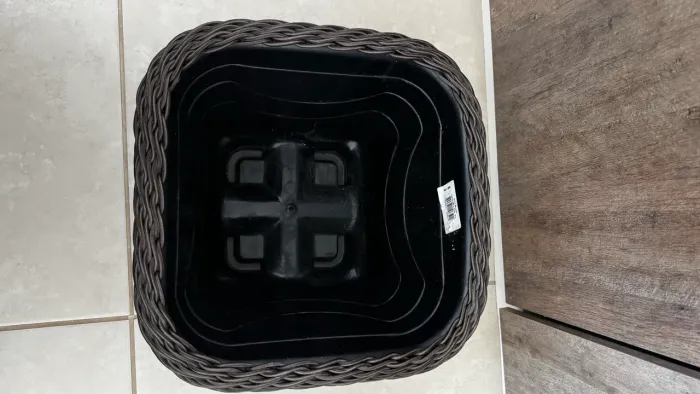 Vazo de Planta