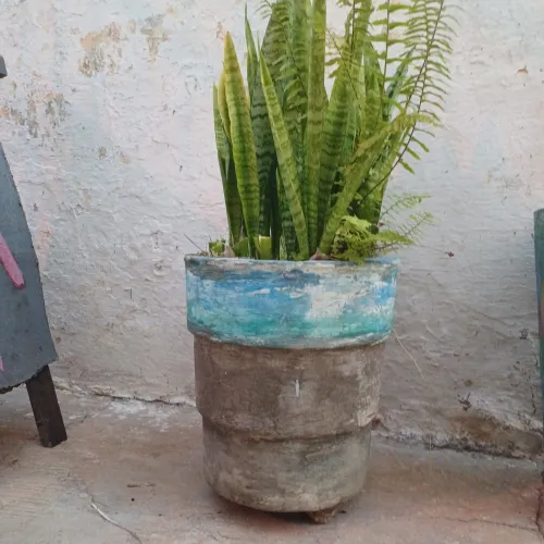 Vaso grande concreto com planta natural espadas retirar ribeirao preto sp não entrego*$50