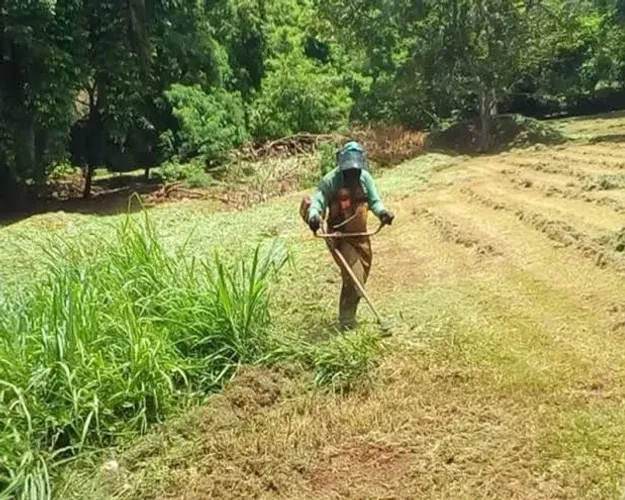 Limpeza de lotes chácaras etc capinamos roçamos limpeza em geral  *
