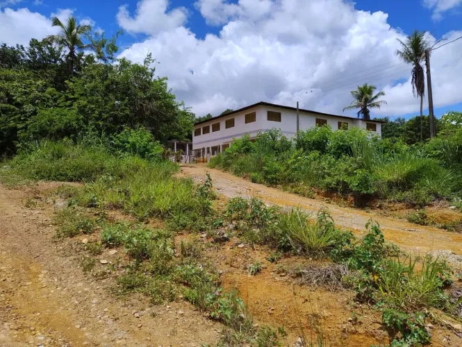 ! EXCELENTE OPORTUNIDADE ! VENDO TERRENO DE 3 HECTARES NA BR, NA ENTRADA DA CIDADE DE ESCA