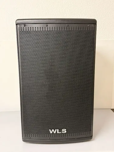 Caixa Passiva Wls 15 Polegadas Ótima! 