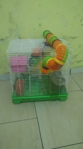 Gaiola hamster 