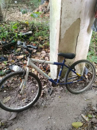 Bicicleta 24 + câmara de ar.