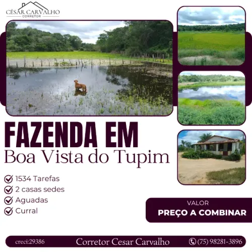 FAZENDA EM BOA VISTA DO TUPIM - 1534 TAREFAS