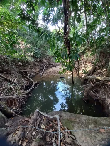 ? FAZENDA COM 14 ALQUEIRES - TERRA FÉRTIL, ÁGUA E ESTRUTURA COMPLETA