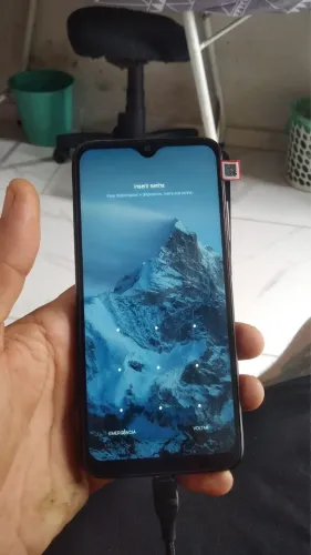 Celular