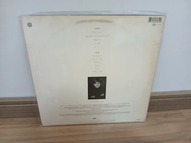 Disco vinil primeiro