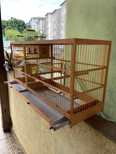 Voador NOVO 1 metro