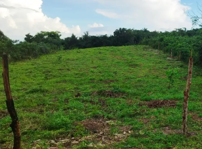 VENDO TERRENO 22x100 - RUY VAZ (AXIXÁ) - PRÓX. AO RIO MUNIM