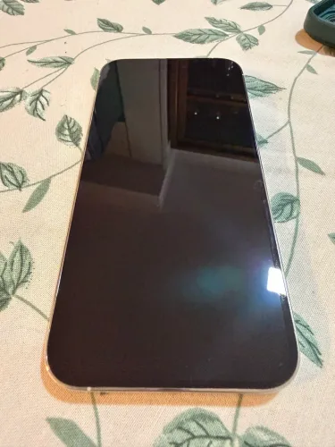 iPhone 14 Pro Max Prateado / Branco