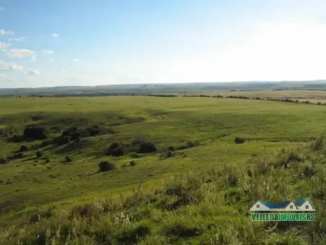 Velleda oferece espetacular fazenda de 240 hectares para pecuária, Santana do Livramento