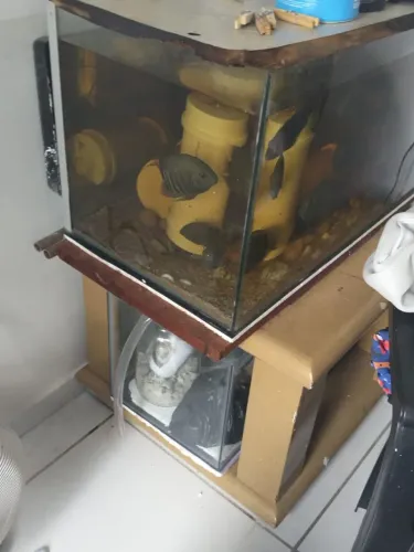 Aquários, bombas e mesa