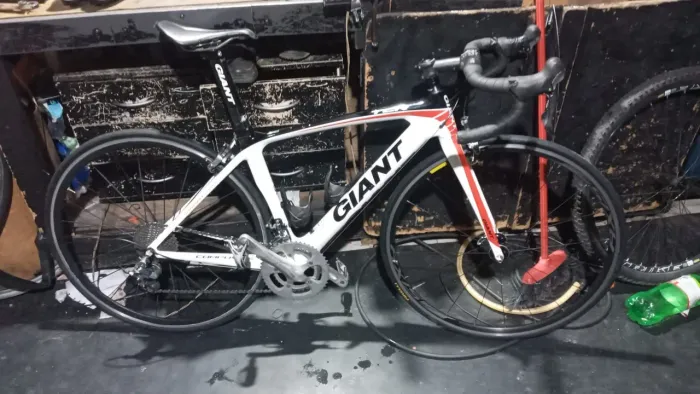 Speed carbono
