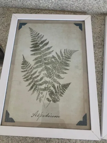 Quadro Decorativo