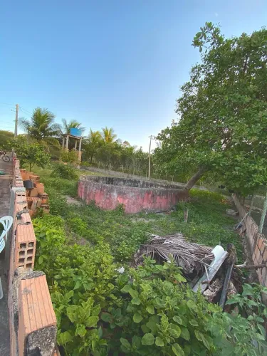 Terreno casa/galpão em Cruz das almas