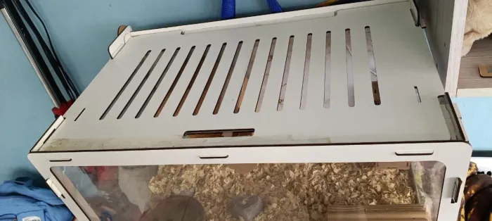 Hamster e Terrário 