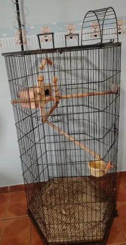 Viveiro pra aves