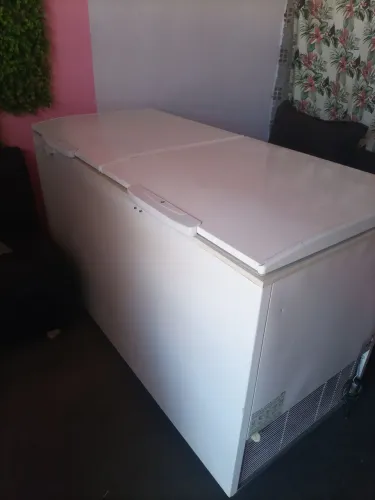 Freezer horizontal