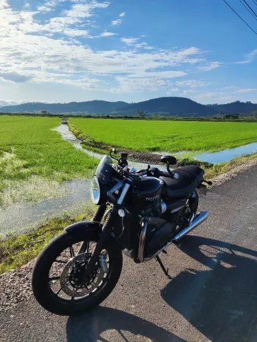 Triumph street twin 900