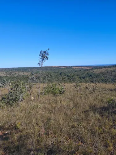 Fazenda 265ha, Barreiro dos Veados, Presidente Olegário.