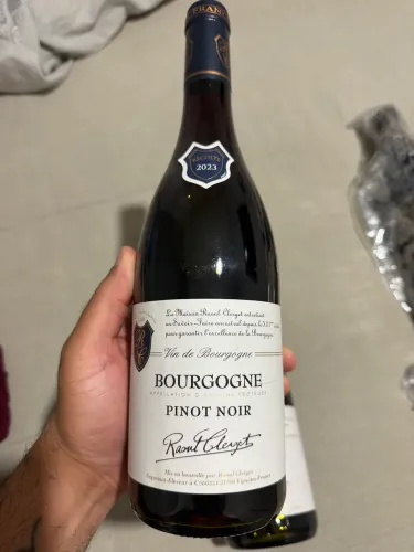 Vinho Tinto Francês Pinot Noir Bourgogne Raoul Clerget 750ml