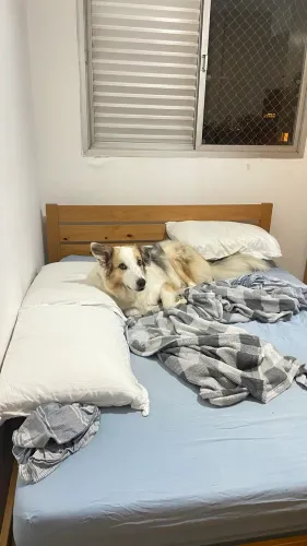 Cama de Casal Tok stok