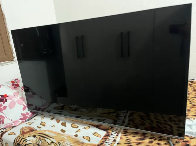 Vendo Tv Philco 55 polegadas (queimada)