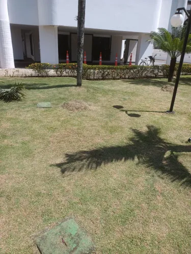 Serviço de jardinagem 