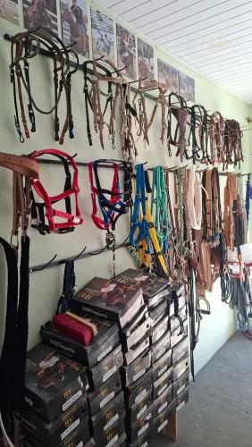 Redias, cabeçadas, selas, cavalo, perneira